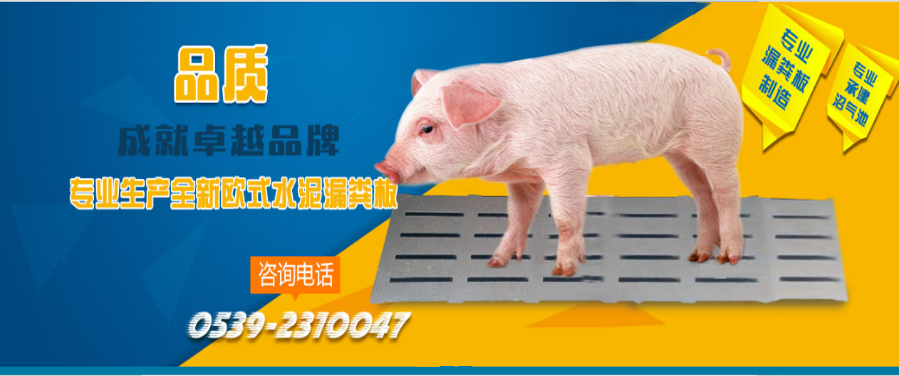 养猪设备专业生产厂家-山